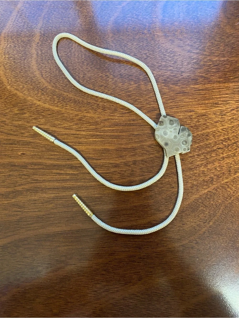 Rare vintage state of Michigan shaped petoskey stone slide bolo string tie